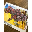Код нації